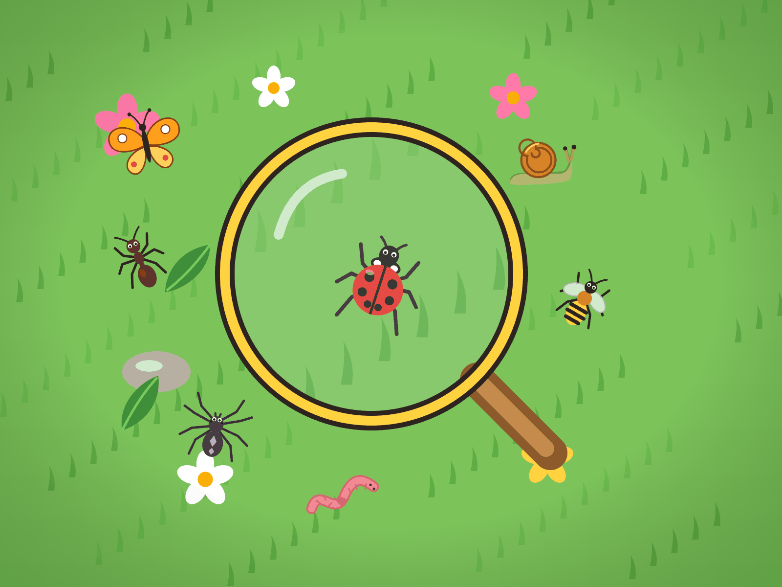 Bug Hunt