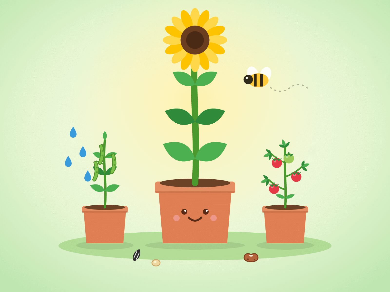 Grow a Plant
